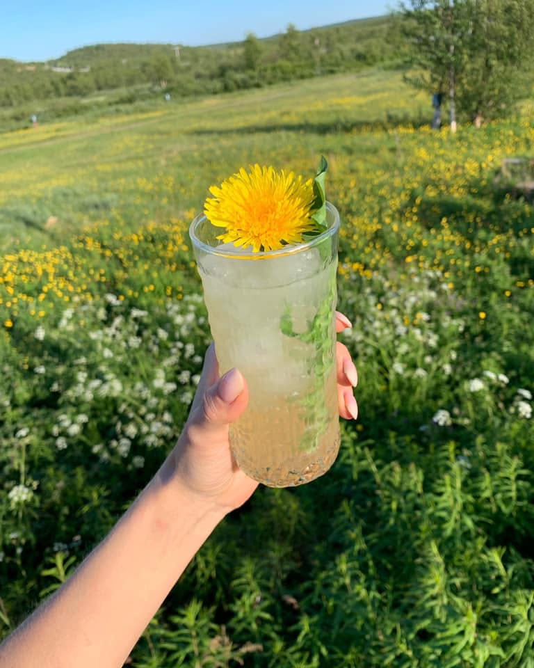 Løvetanndrink i en blomstereng
